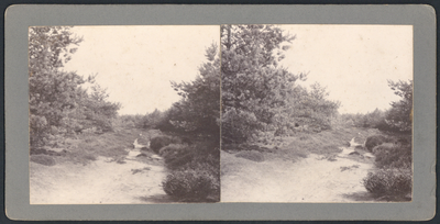 503045 Gezicht op een zandverstuiving in de Biltsche Duinen bij De Bilt (Bilthoven).